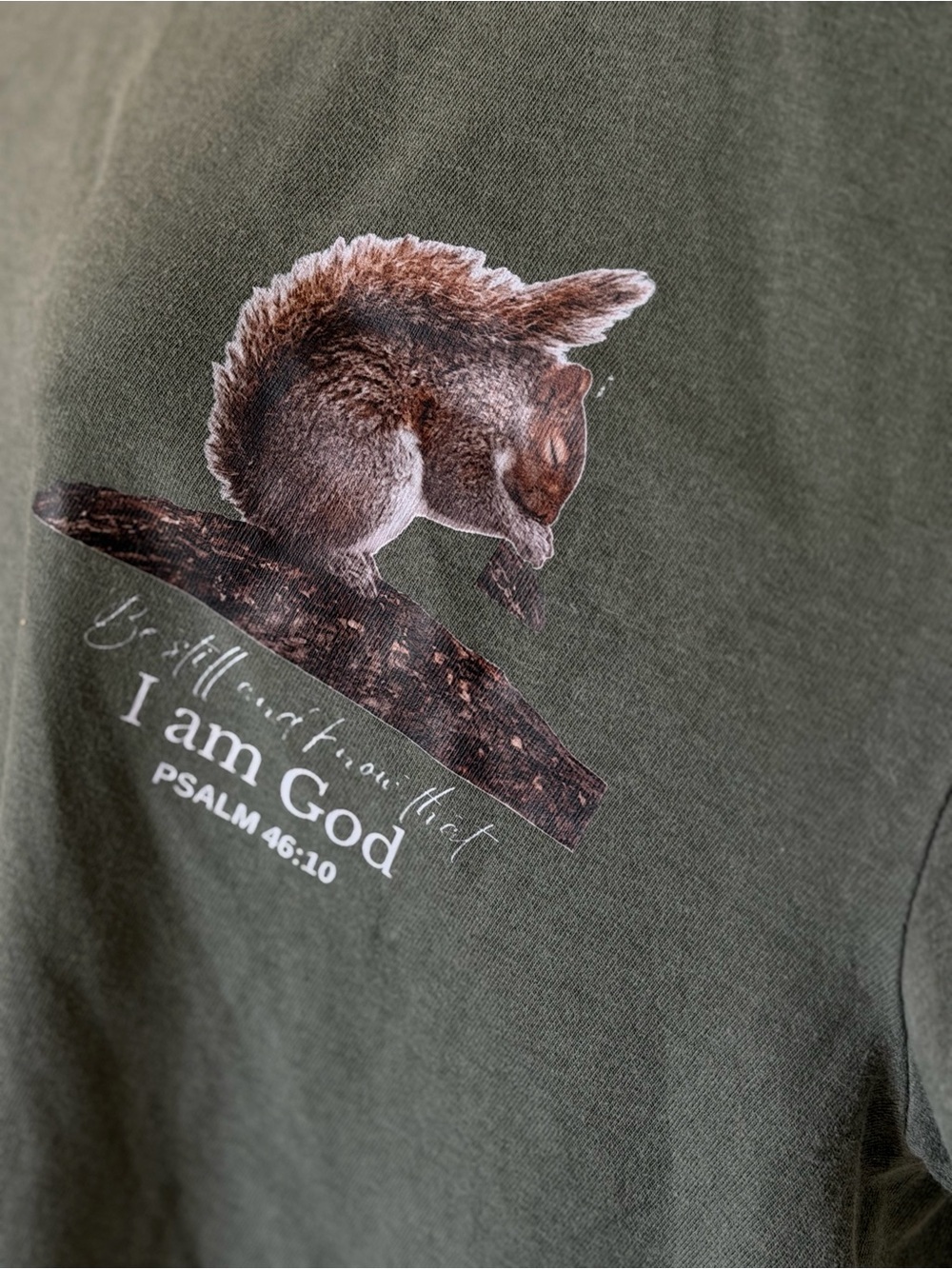 Comfort Colors Praise The Lord Squirrel Tee Brand New - Picture 6 of 9